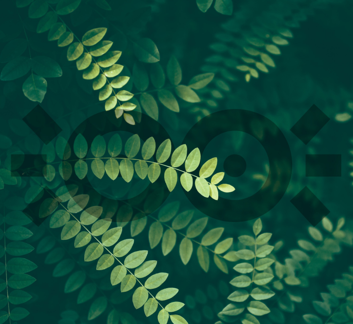 Image Site Mock